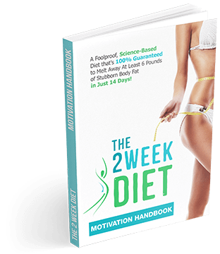 2 Week Diet Motivational Handbook