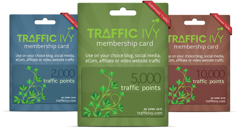 Traffic Ivy Review