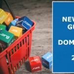 Newbies-Guide-To-Domaining-In-2019