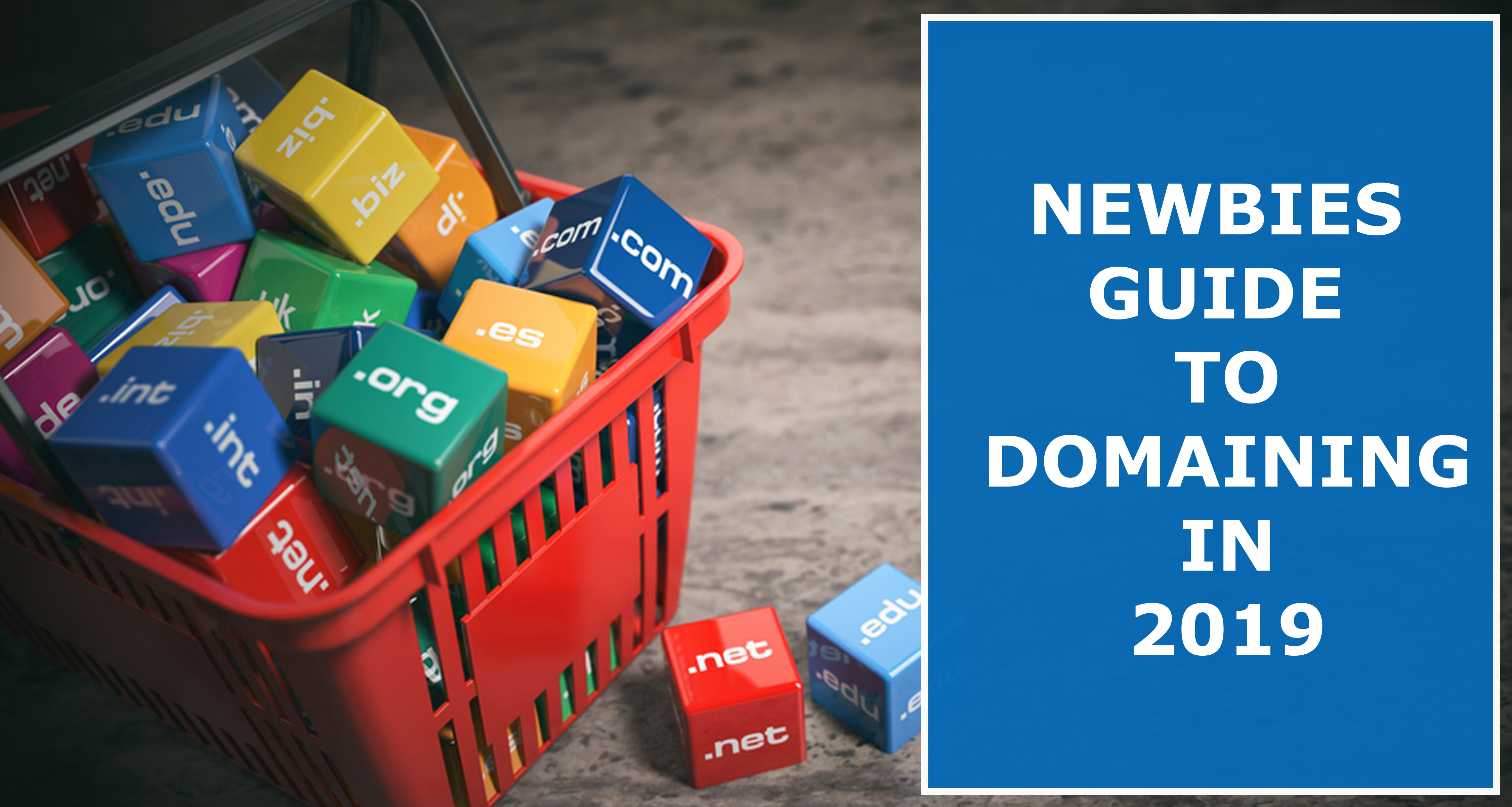 Newbies-Guide-To-Domaining-In-2019