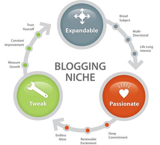 how to find blogging niche