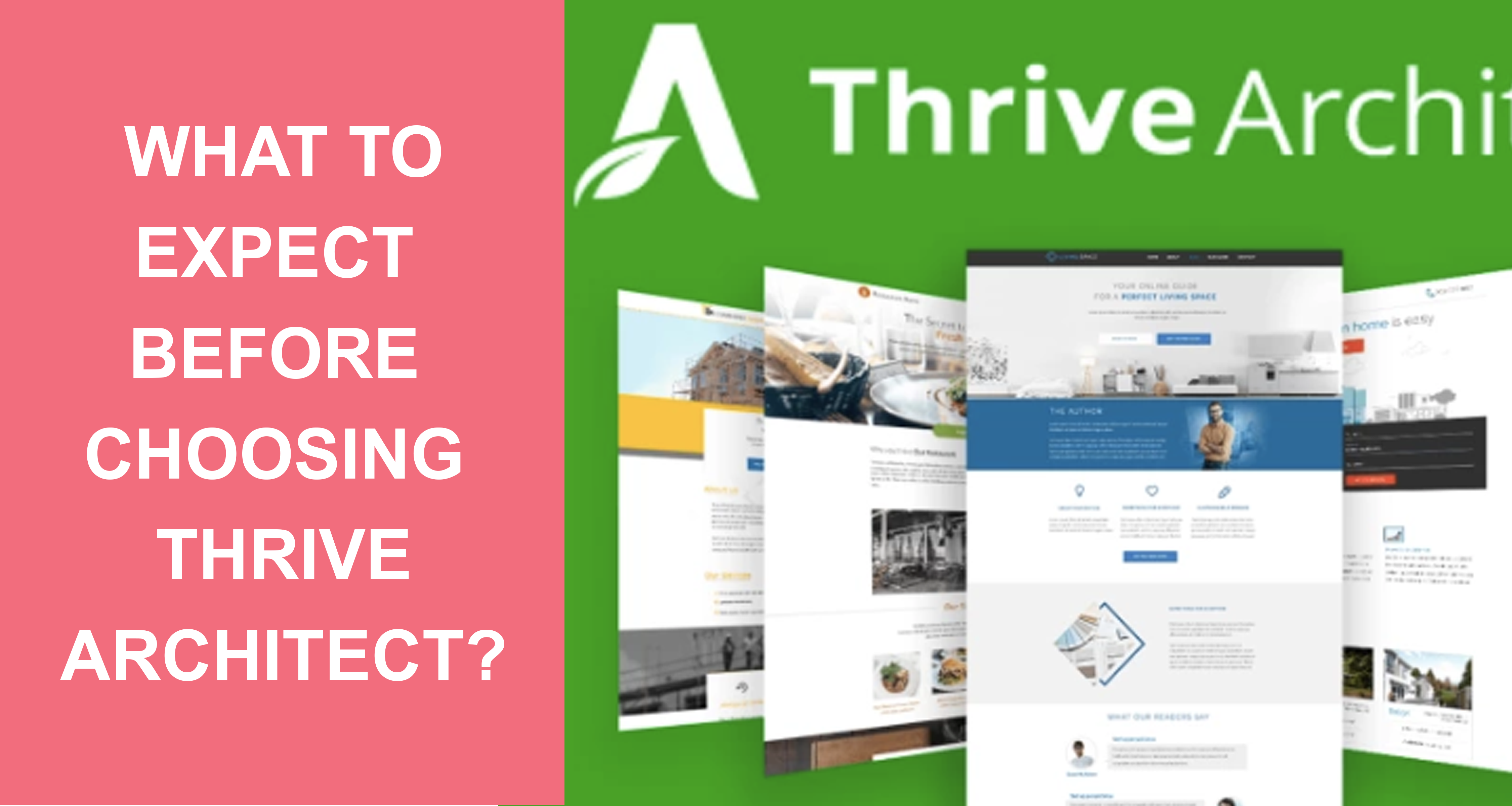 What To Expect Before Choosing Thrive Architect