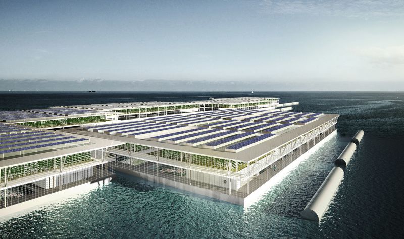 Floating Farms