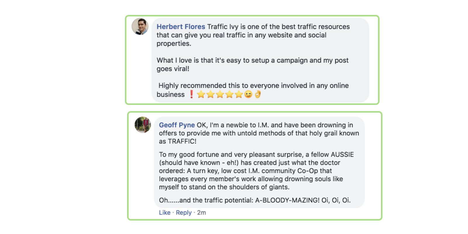 Traffic ivy customer reviews