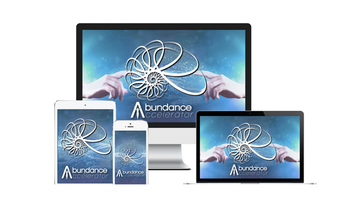 Abundance Accelerator review