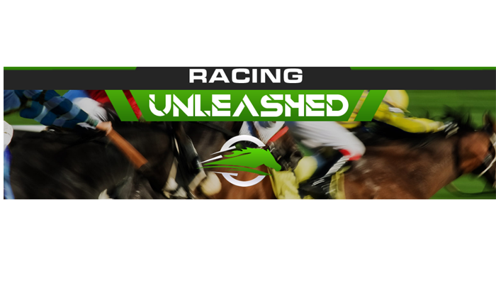 Racing Unleashed review