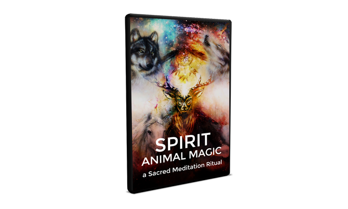 Cosmic Spirit Animal Review: An Unique Custom Meditation Guide Of 2020?