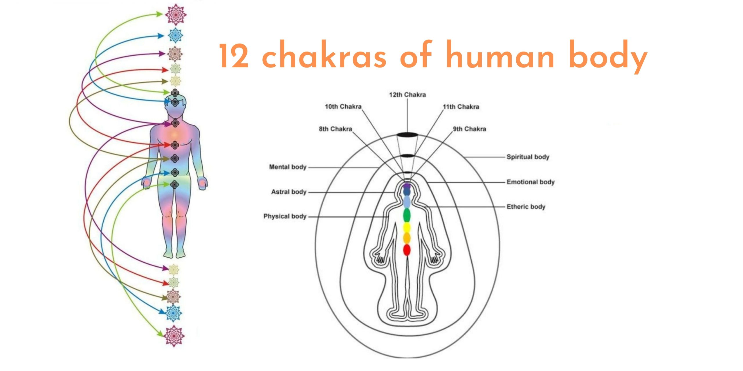 Manifestation Gods System Working