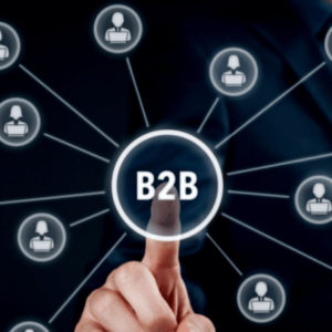 How To Find The Right B2B Ecommerce Solution