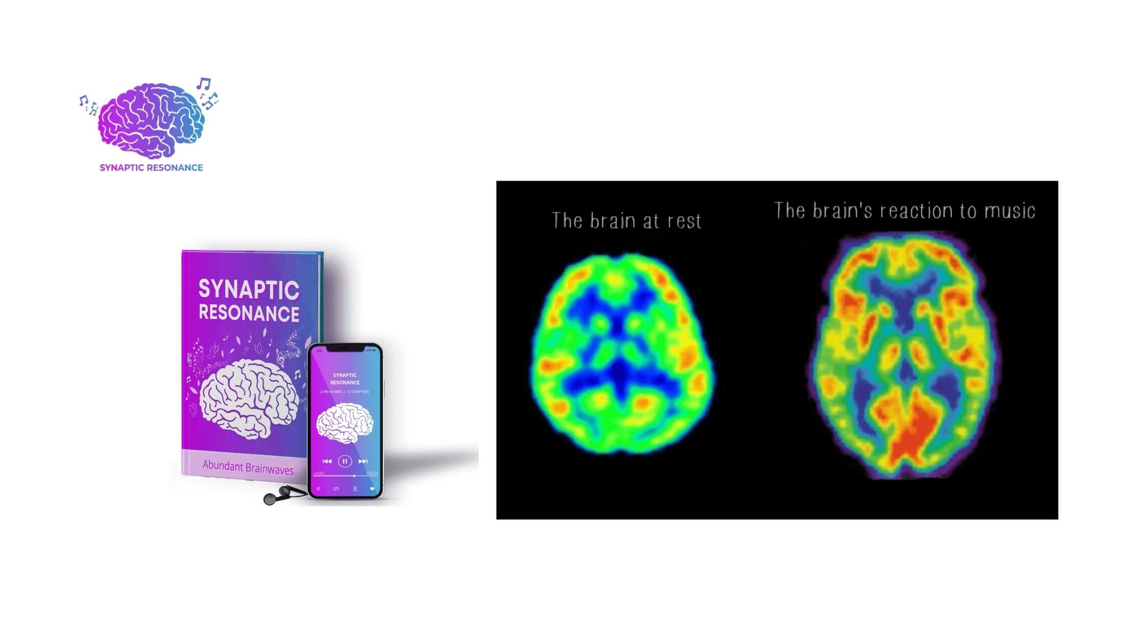 Synaptic Resonance Includes (1)