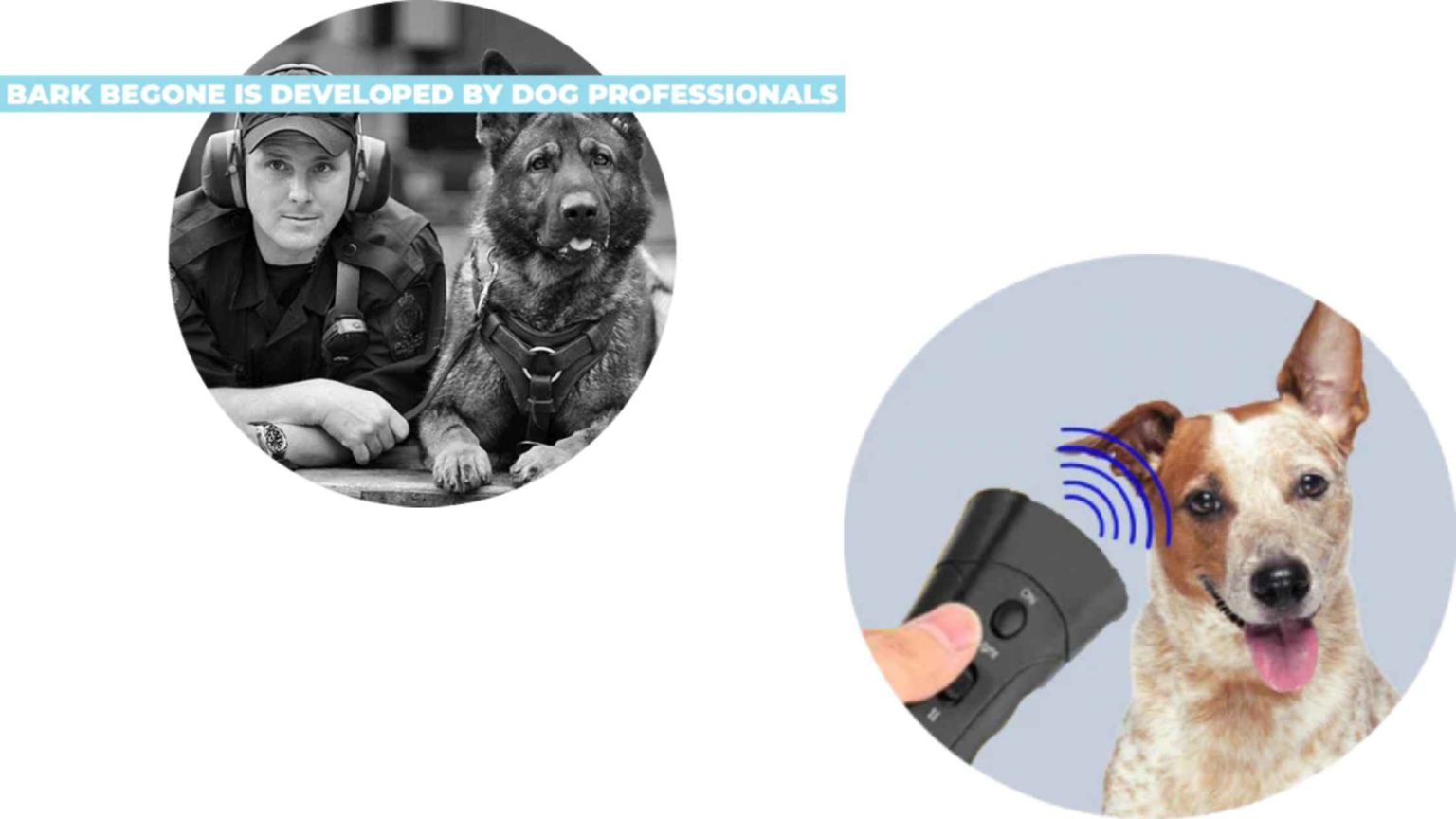 Bark Begone Reviews Is Bark Begone Harmful To Dogs? [Updated 2023]