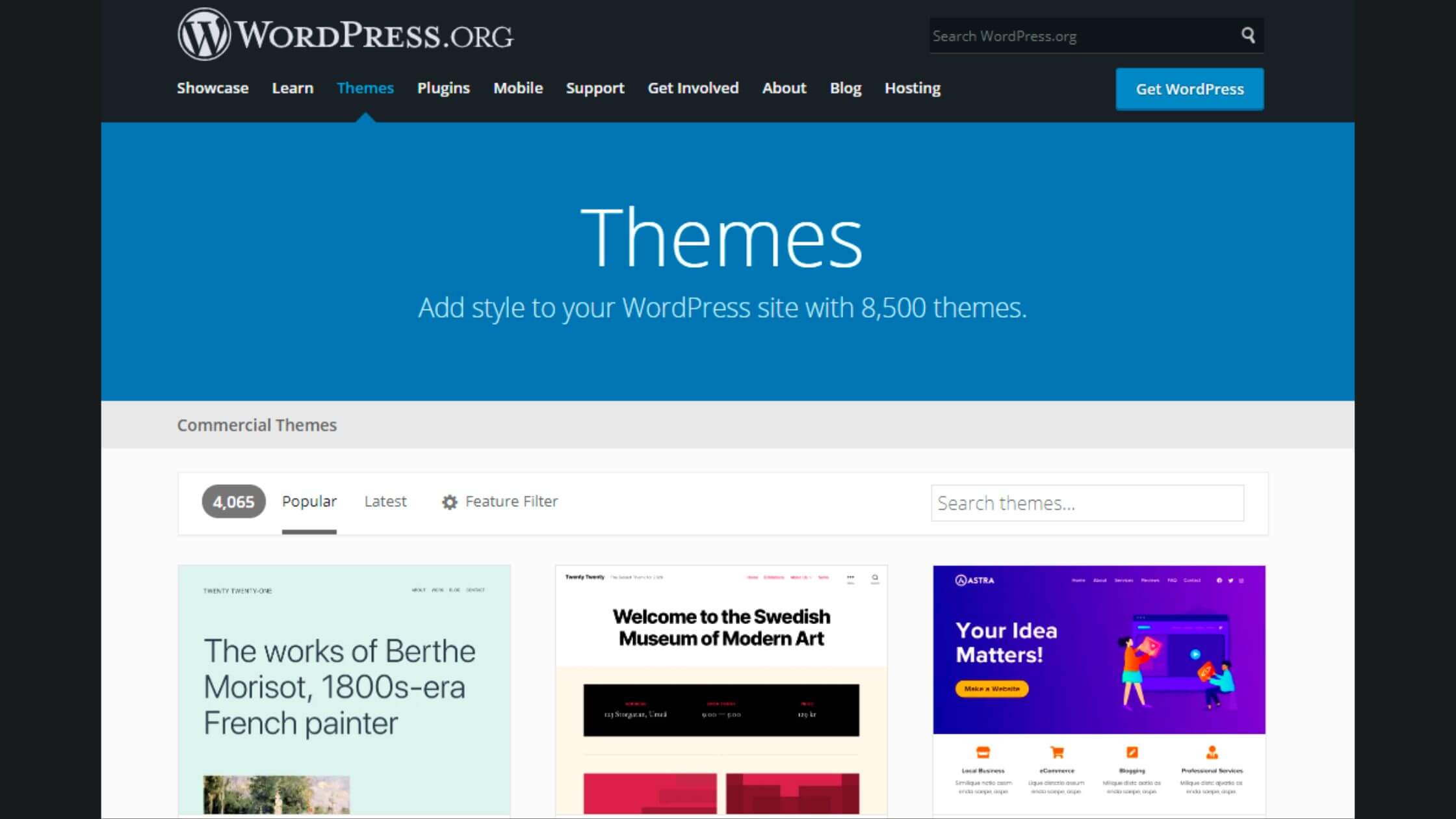 Choose A WordPress Theme