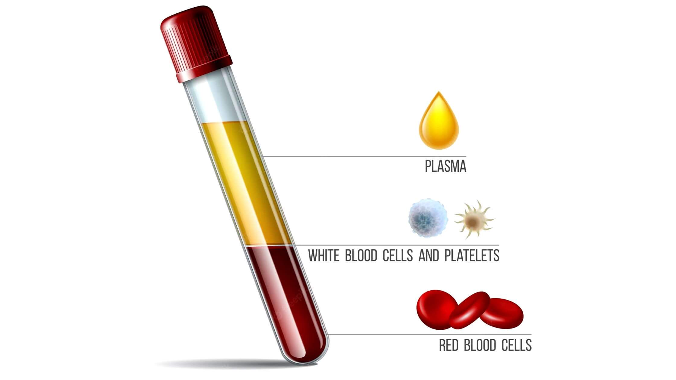 Difference Between Plasma And Platelets