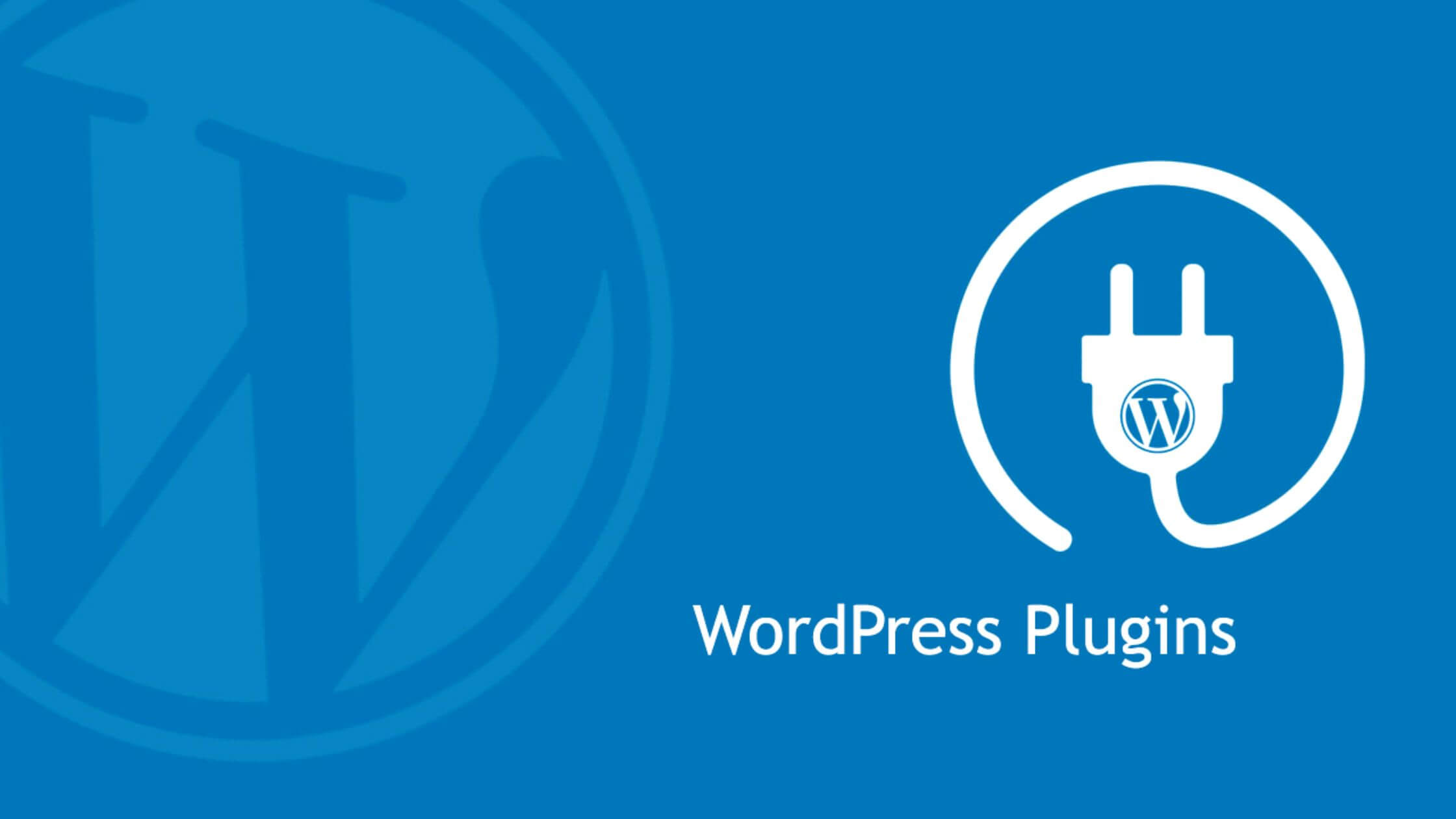Install Essential WordPress Plugins