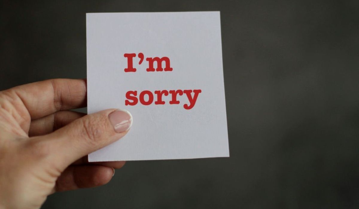 Professional Apologizer