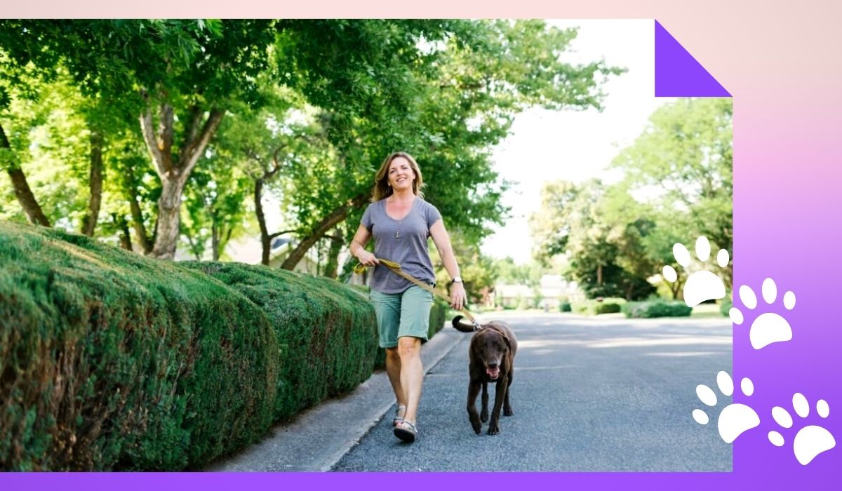 Make Money Through Dog Walking