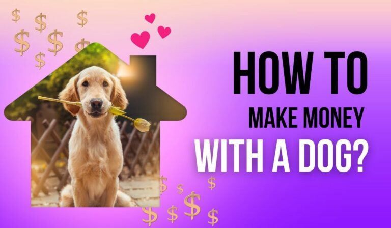 How To Make Money With A Dog?