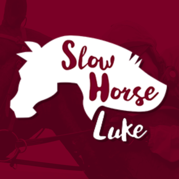 Slow Horse Luke Review – An Effective Online Lay Horse Betting System?