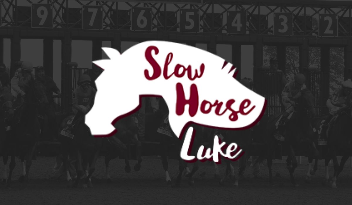 Slow Horse Luke Reviews
